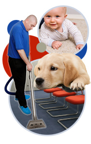 carpet cleaning carpet cleaning